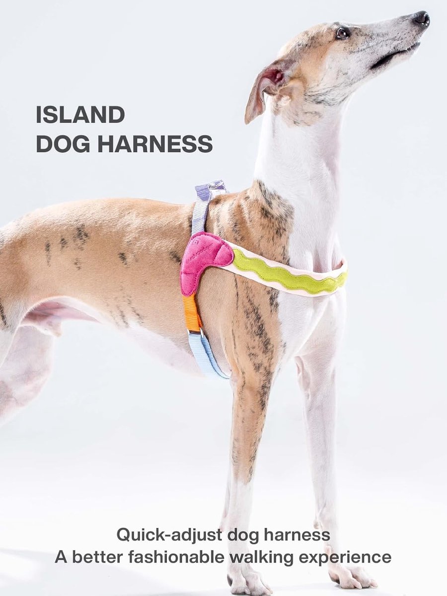 Hondentuigje Y-vorm - Harnas Hond - Veilig Wandelen - Verstelbaar Borstvest - XXS+2M - Rood
