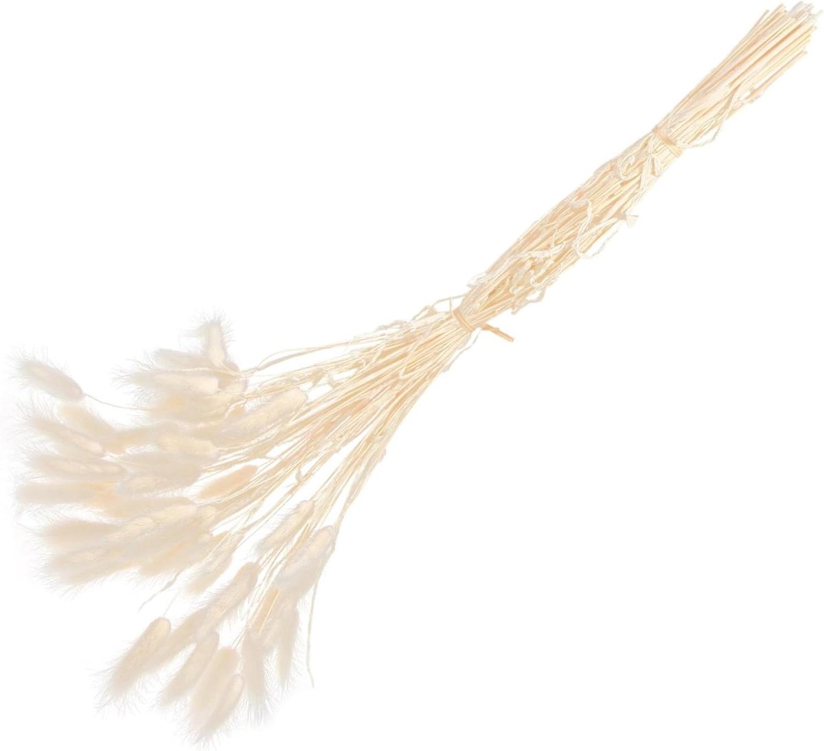 Gedroogde Staarten - Decoratieve Planten - Bloemstuk Maken - Natuurlijke Sfeer - 50 Stuks - Wit