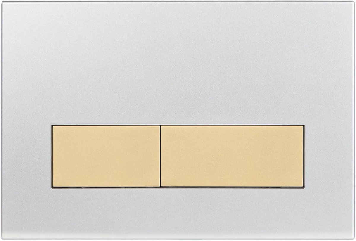 Toilet Bedieningsplaat - Spoelplaat Set - Toilet Onderhoud - Dubbele Spoelfunctie - Installatie Frame - Mat Zilver Goud