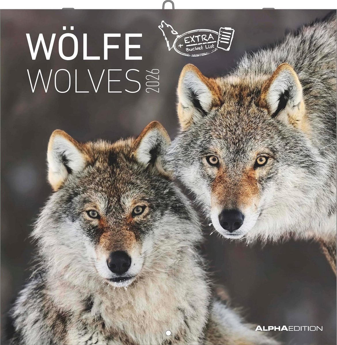 SnelShoppen - Wölfe Kalender 2026 – Wandkalender & Bildkalender 30x30 cm (30x60 cm geopend) met prachtige Wolfsfotografie, ideaal voor natuurliefhebbe