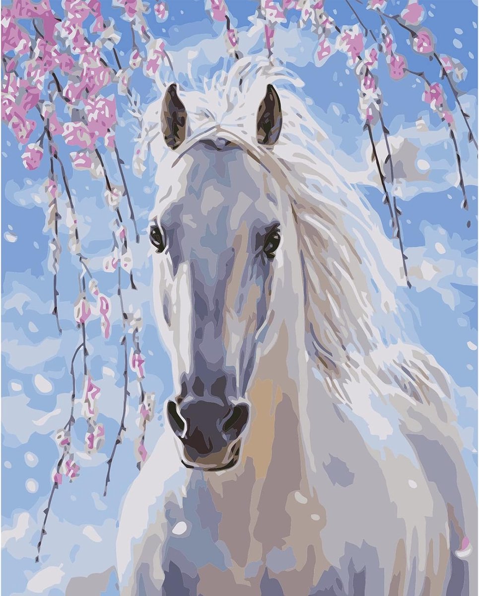 SnelShoppen - Schilderen op Nummer Set voor Volwassenen en Kinderen, Wit Paard 40x50 cm, Inclusief Verf en Kwasten, Perfect voor Thuisdecoratie, Verja