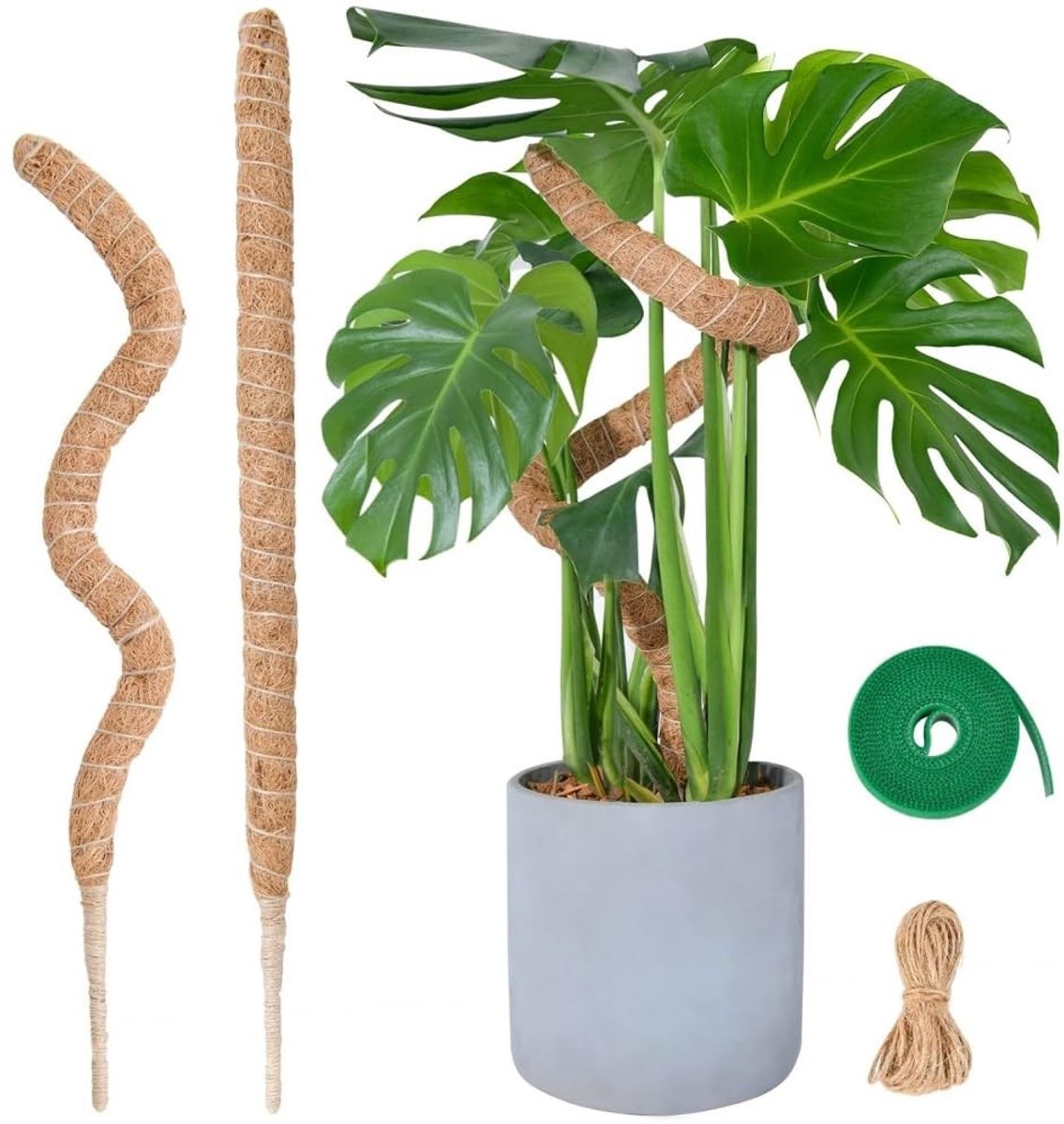 Dailygoods- Klimhulp 60 cm - Plantensteunen voor Klimplanten - Mosstaaf met Aluminium Kern - Set van 2 - Kokosvezel - Antischimmel - Plantensteun