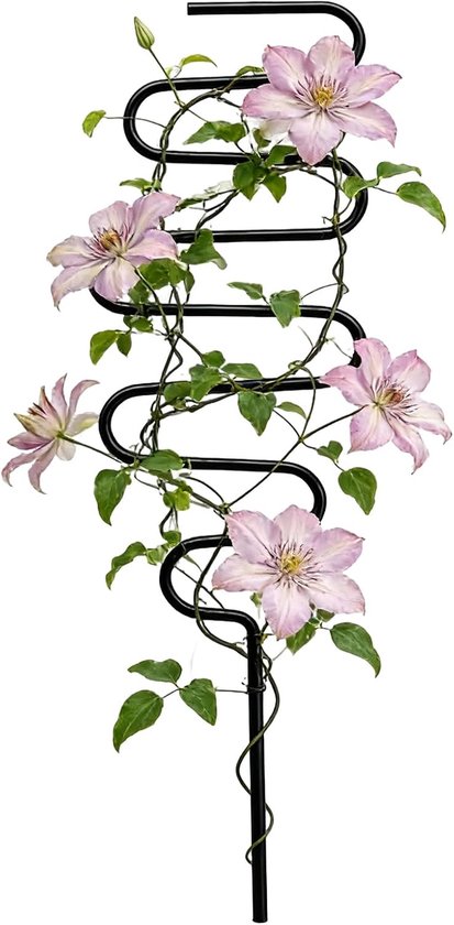 Plantensteunstokken - Klimplantsteun - Verticale Groei - Duurzame Metaalconstructie - 30 centimeter - Zwart