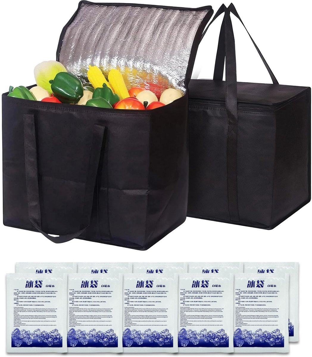 Dailygoods- Koeltas Set 2 Stuks 20 Liter - Opvouwbaar - Isolatietas - Picknicktas - Duurzaam - Inclusief 10 IJszakken