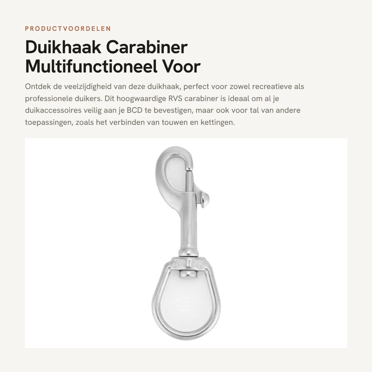 Dailygoods- Duikhaak RVS - Karabijnhaak met Schroefsluiting - Musketonhaak - Multifunctioneel - Duurzaam - Onderwatergebruik
