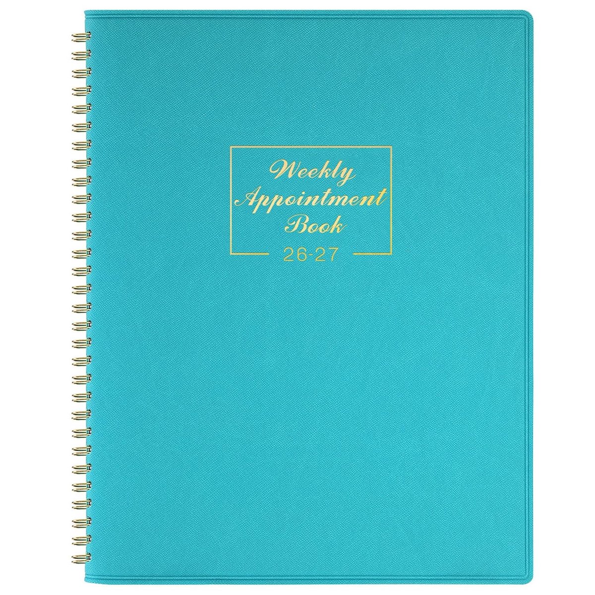 Dailygoods - Afsprakendagboek 2024-2025 - Academisch Dagboek met Zachte Lederen Hoes