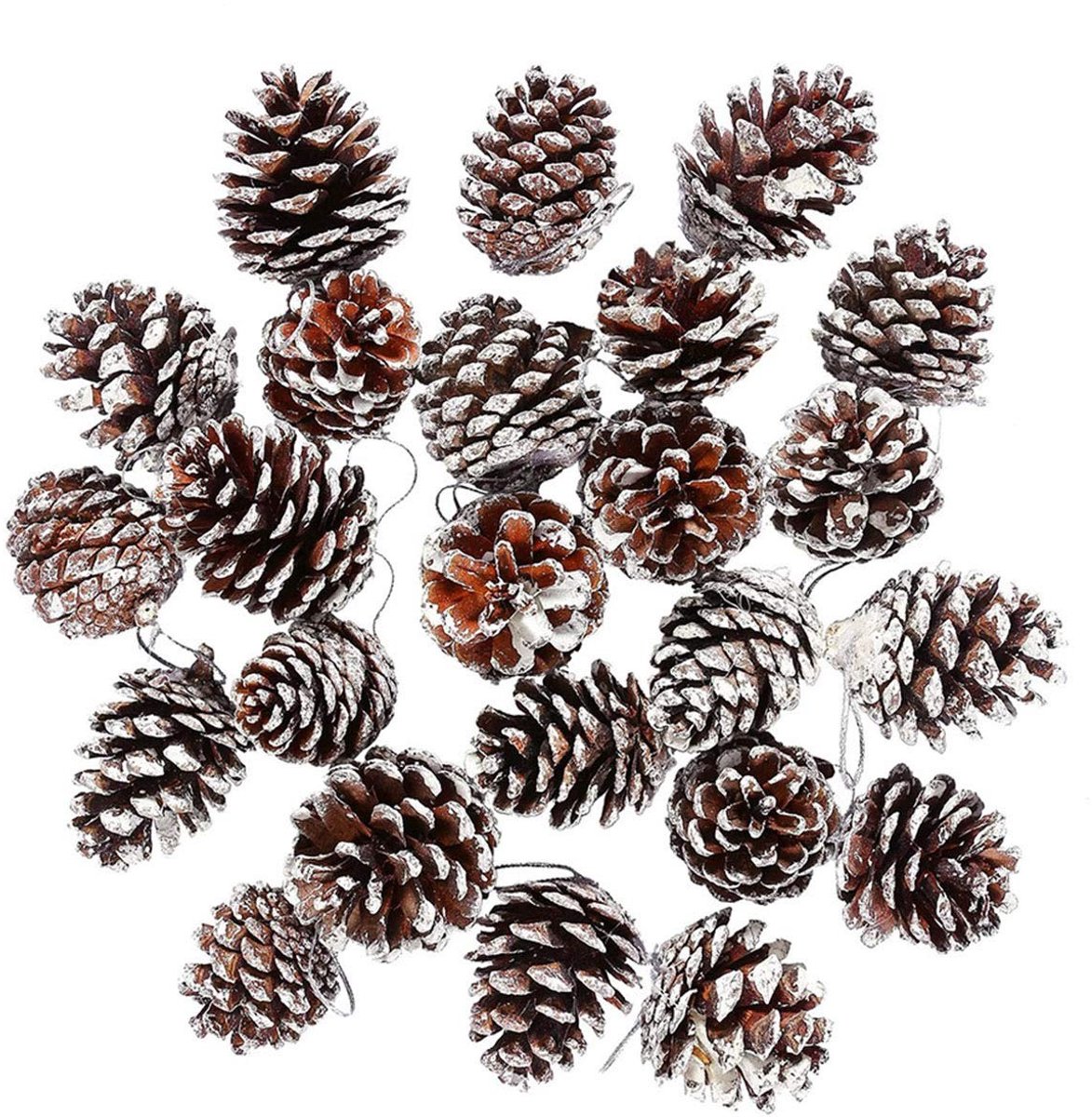 Dailygoods- Dennenappels Natuurlijke Decoratie - 30 Stuks - Kerstboomversieringen - Feestdecoratie - Krans Maken - Milieuvriendelijk
