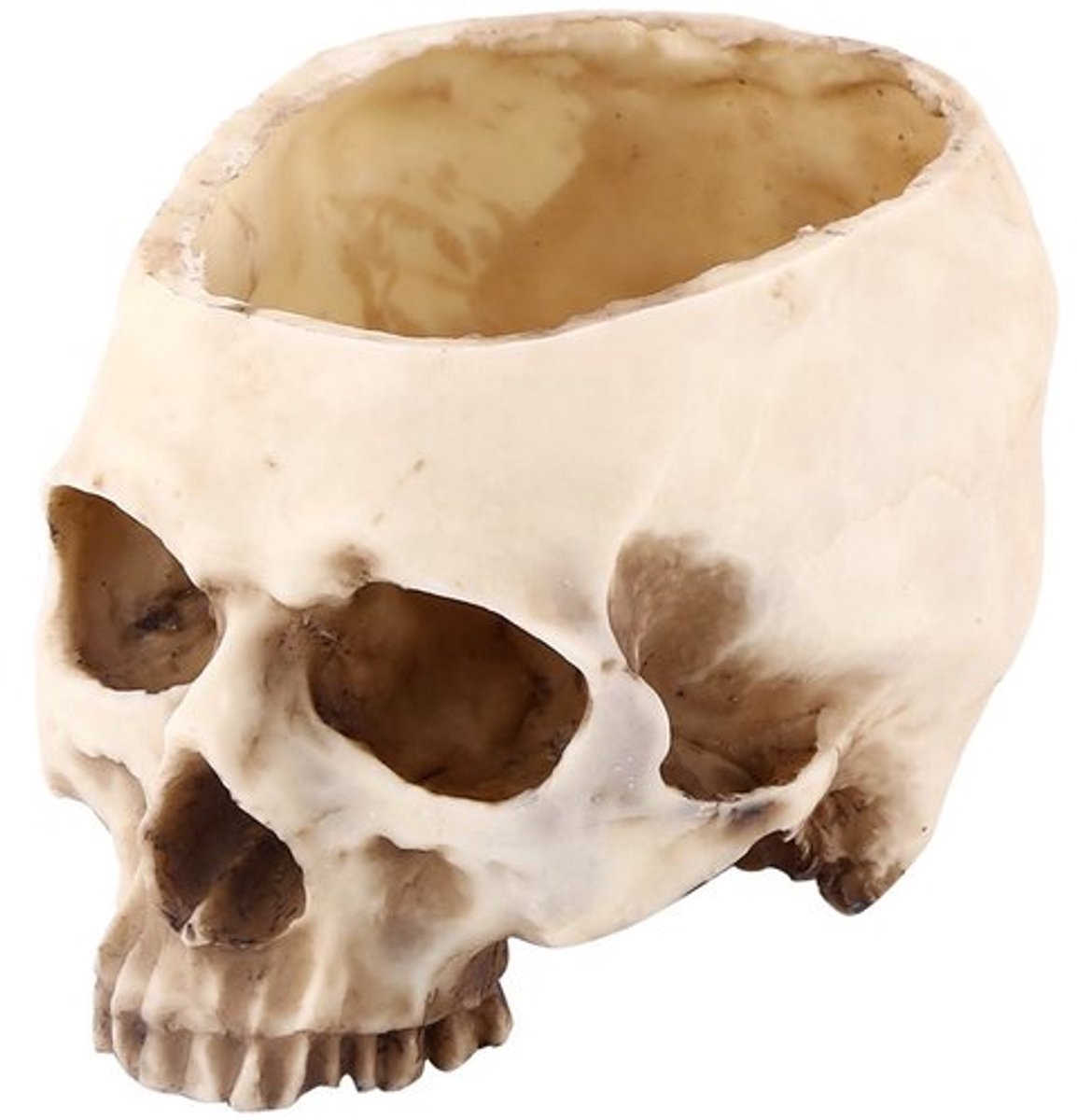 Schedel Bloempot Groot Formaat - Hars Container - Halloween Decoratie - Milieuvriendelijk - Hittebestendig - Corrosieweerstand