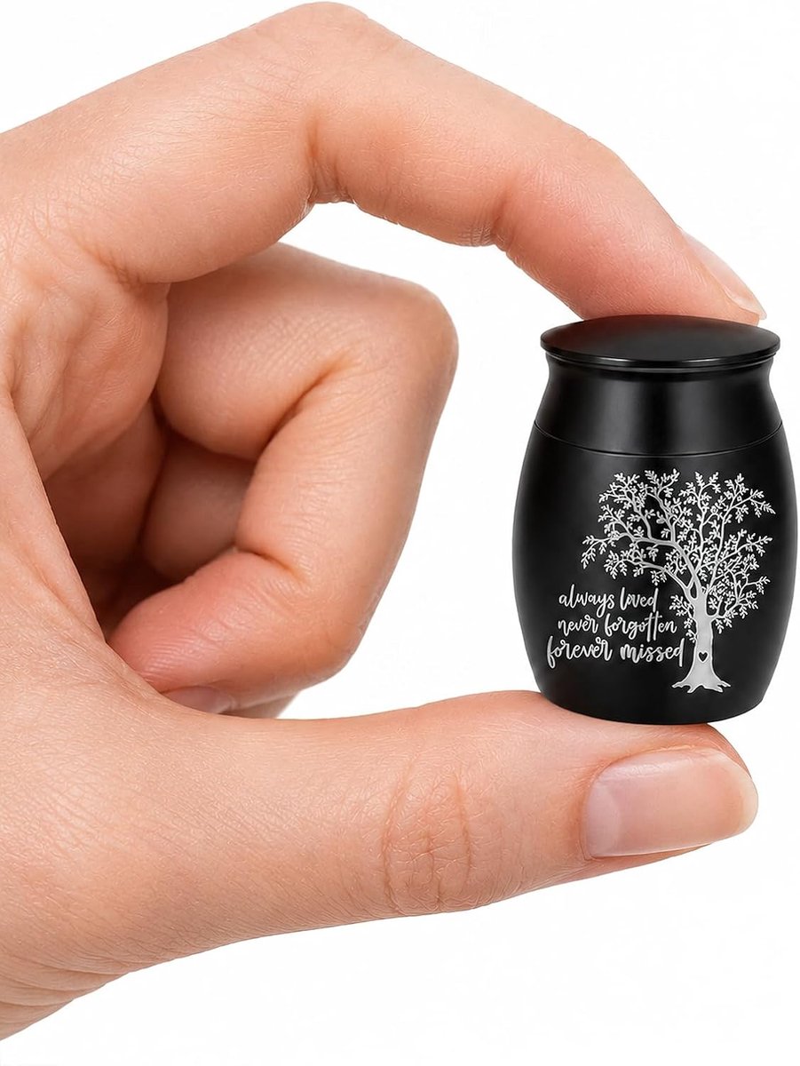 Mini asurn voor as 4 x 3 cm, kleine aandenken roestvrij staal - ShopVlot