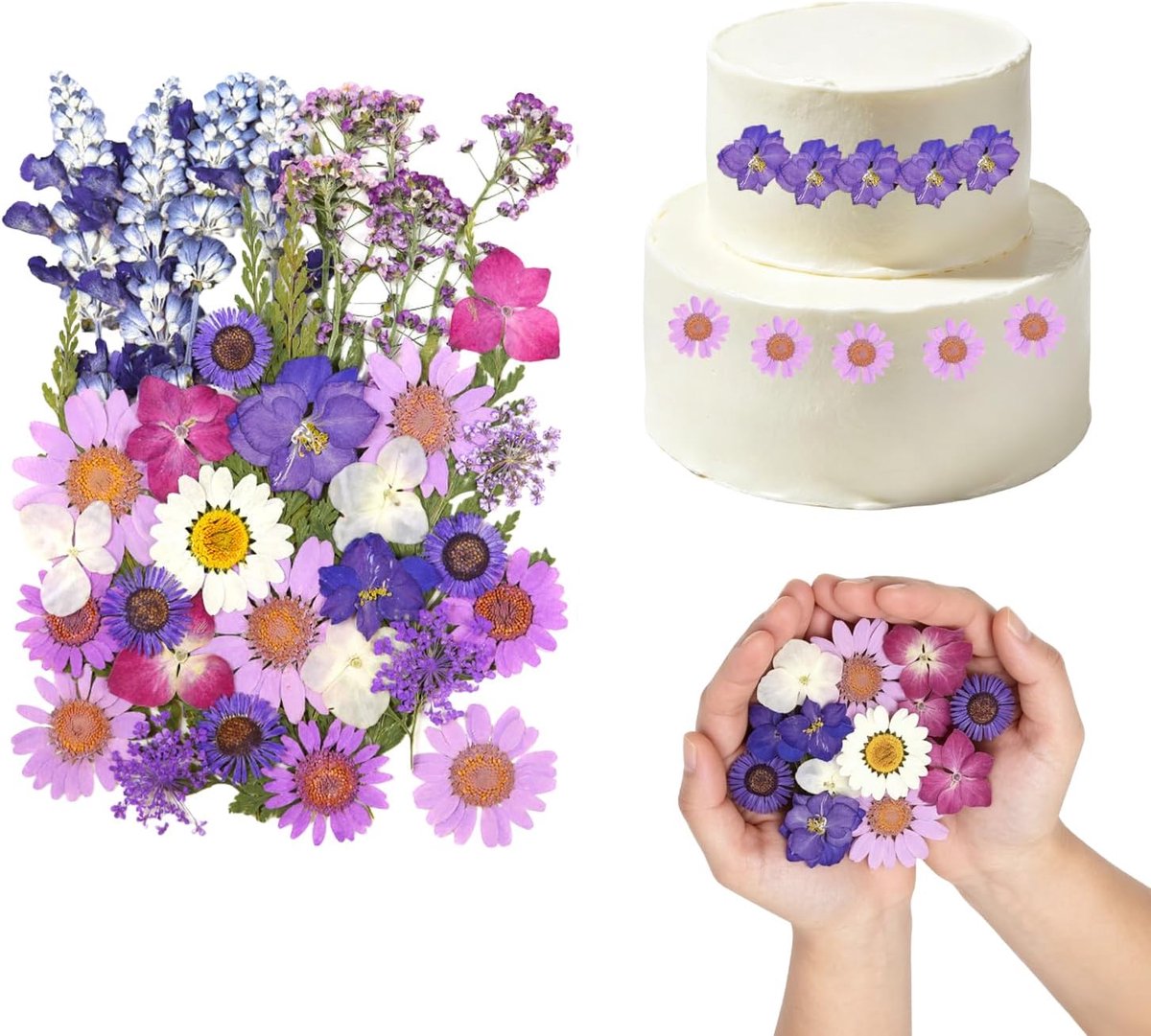 Gedroogde bloemen voor taarten - 38 stuks - natuurlijke droogbloemen - perfect voor taartdecoratie - ShopVlot