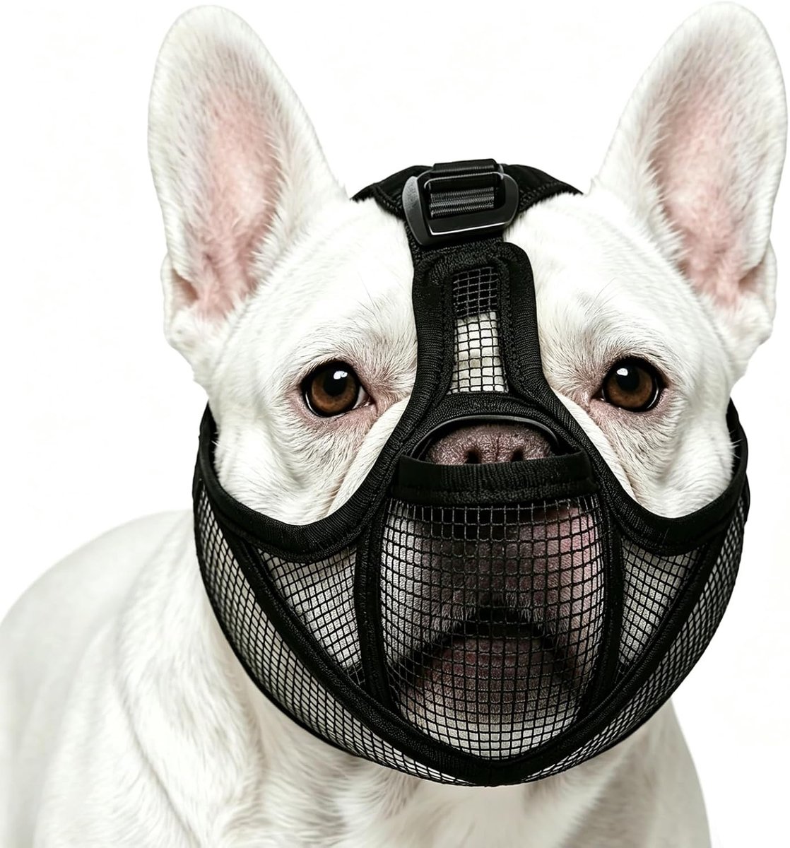Muilkorf Franse bulldog - verstelbaar M - ademend netweefsel - drinken en eten mogelijk - ShopVlot