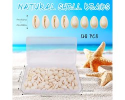 120pcs Couri Shells Natural Shell Beads with Hole for DIY Jewelry Making, Decorative Crafts, Craft Supplies (Box) - ShopVlot