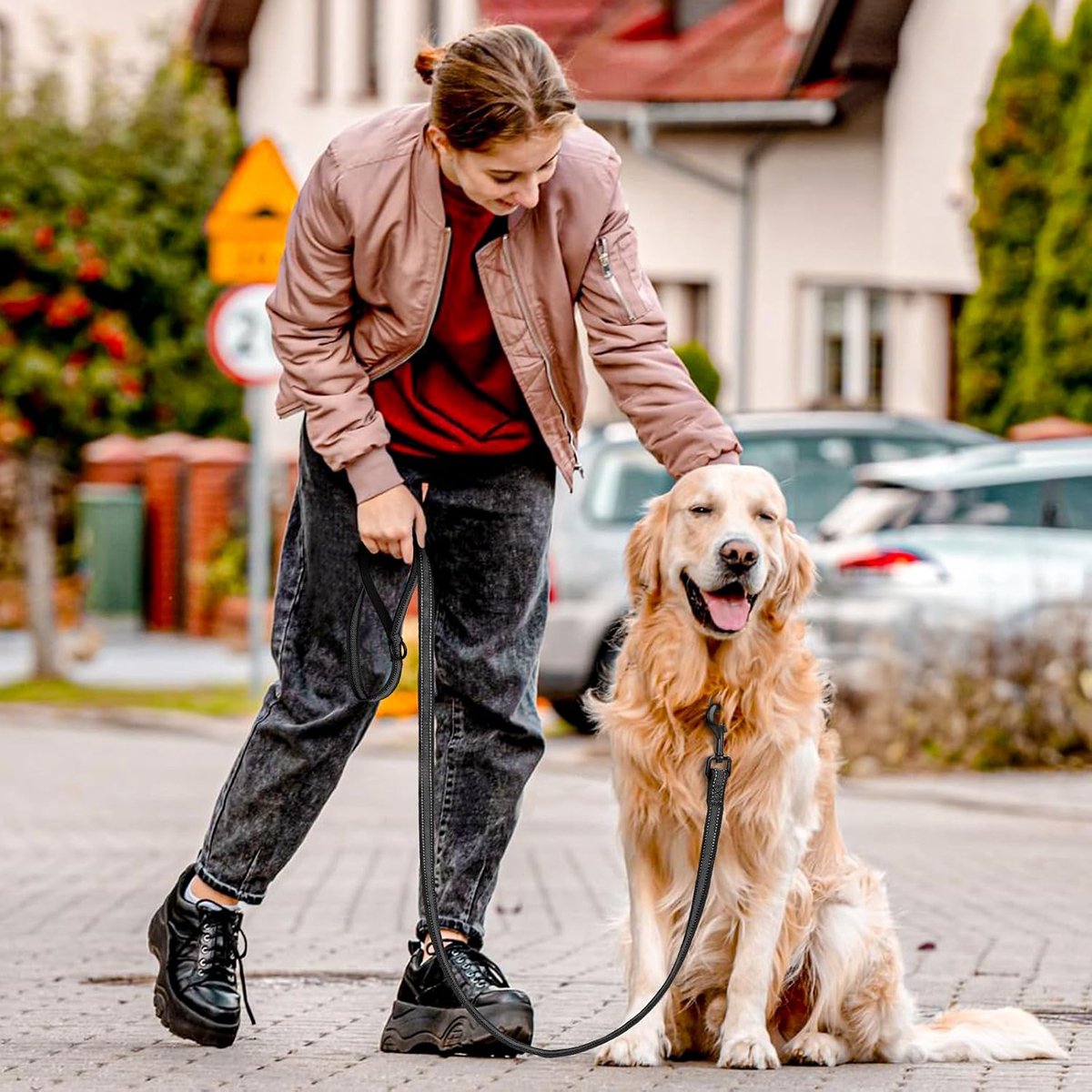 Hondenriem voor kleine honden 15MM-1.5M - reflecterend - zachte handgreep - ideaal voor wandelingen - ShopVlot