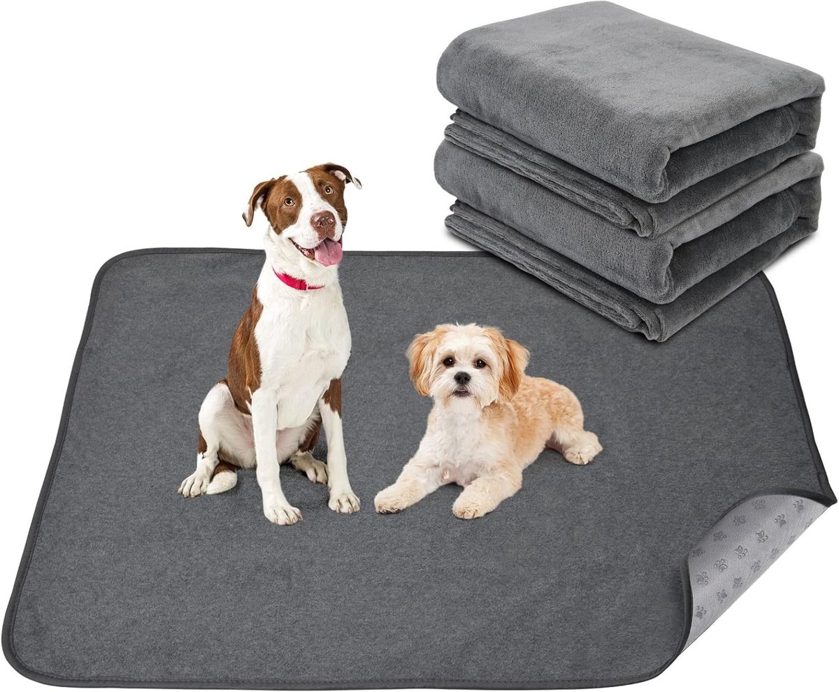 Wasbare Puppy Pads Set van 2, 48 x 48 inch, Sneldrogende Training Mat voor Puppy, Oudere en Incontinent Hond