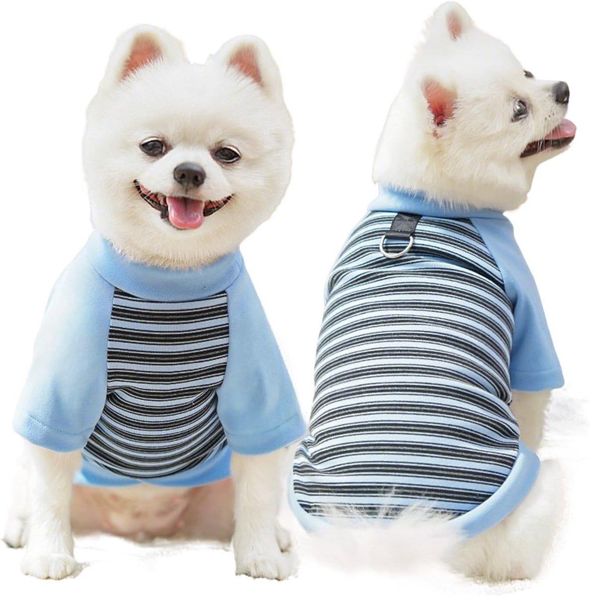 Winterse Sweater voor Kleine Honden - Warme Gestreepte Outfit met Leash Ring voor Chihuahua, Schnauzer en Franse Bulldog - Zacht en Comfortabel (Blauw, L)