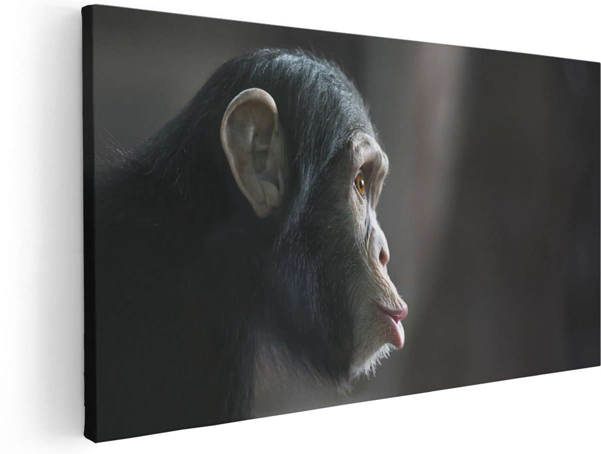 Artaza Canvas Schilderij Verbaasde Aap Vanaf De Zijkant - 180x90 cm - Groot - Wanddecoratie Woonkamer - Schilderijen - Muurdecoratie