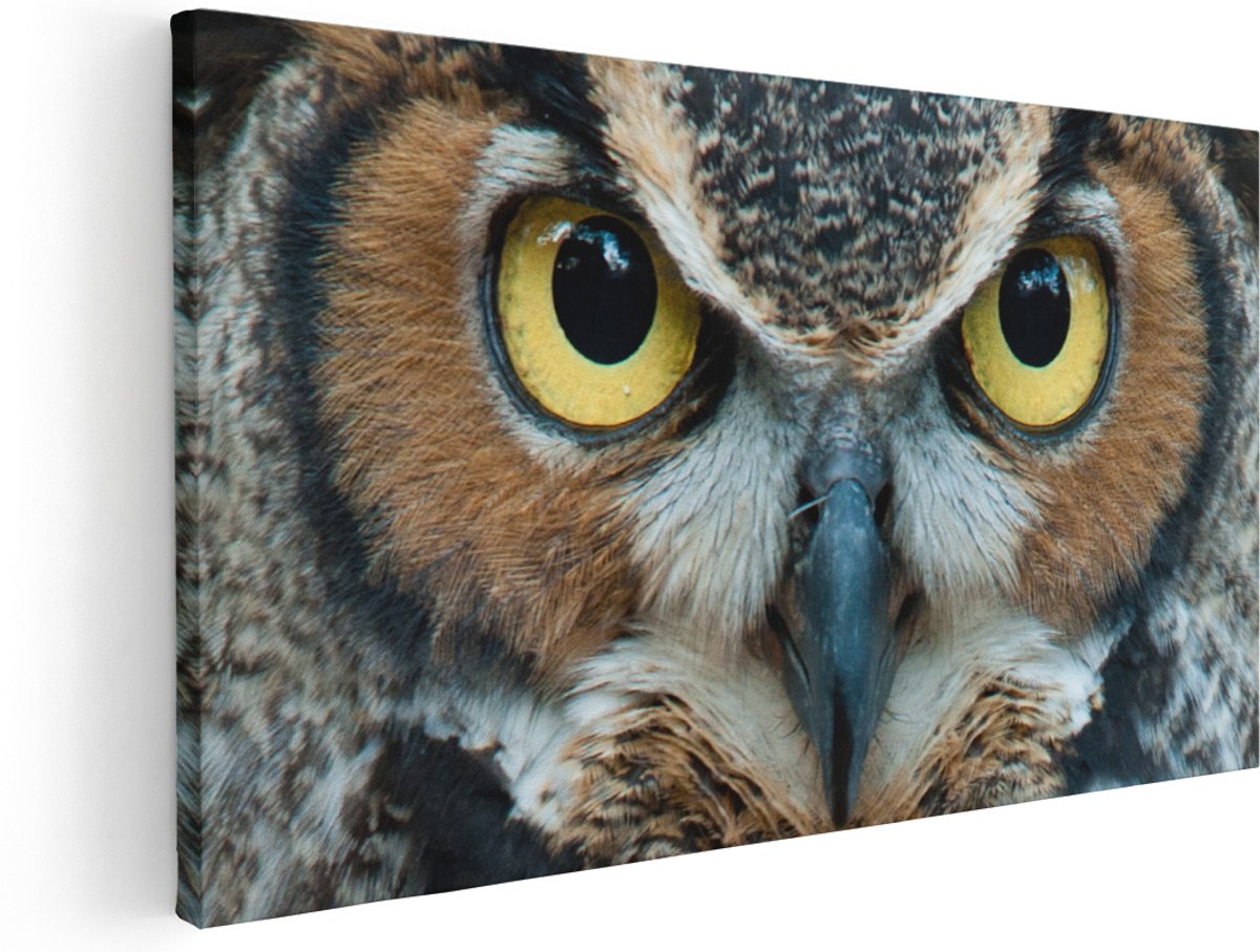 Artaza Canvas Schilderij Uil Kop Met Gouden Ogen - 180x90 cm - Groot - Wanddecoratie Woonkamer - Schilderijen - Muurdecoratie