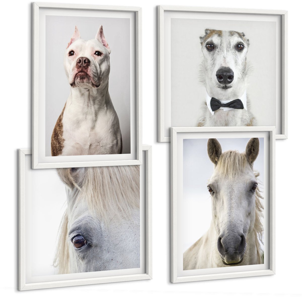 Wallfluent 4-Delige Schilderij Set - Interessante Portretten Van Honden En Paarden In Een Elegante Stijl. - 40 x 40 En 40 x 60 - Stijlvolle Muurdecoratie - Slaapkamer - Woonkamer Decoratie