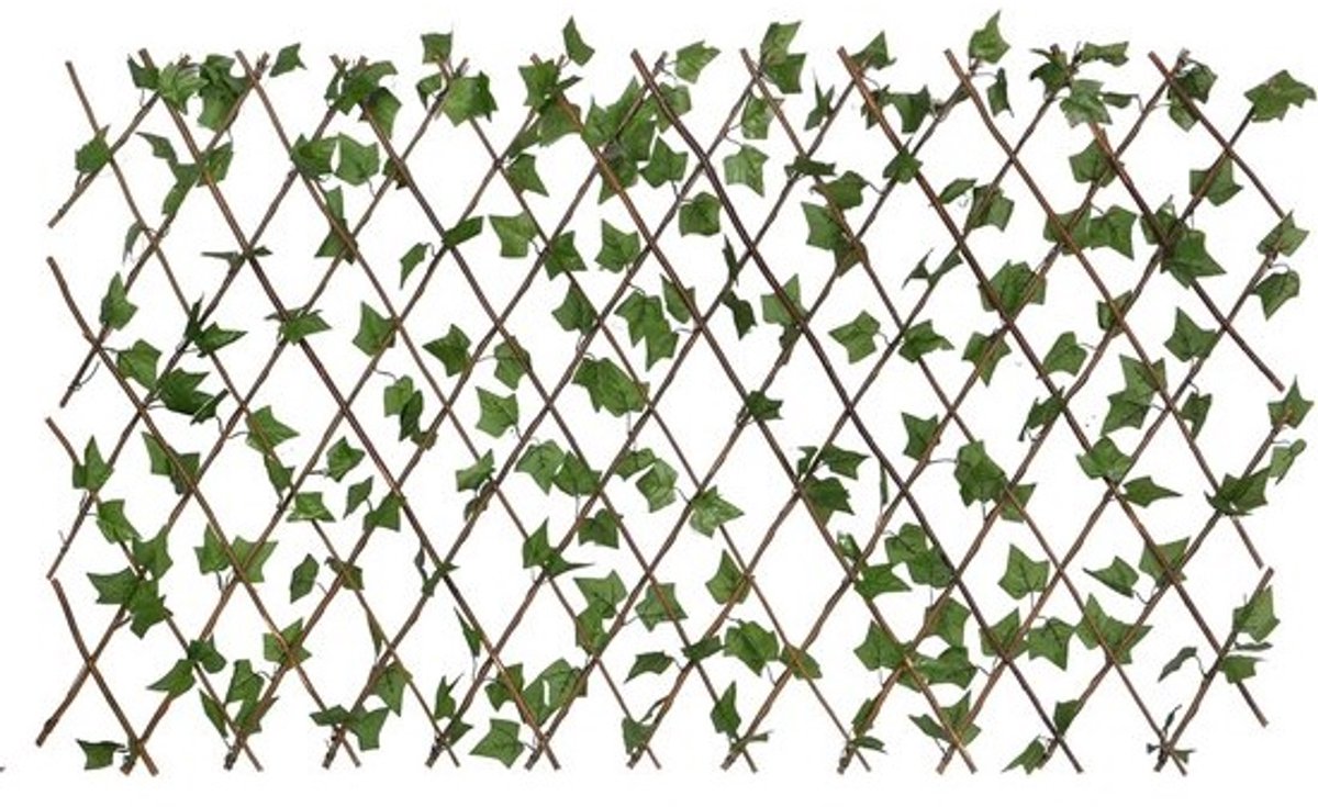 Decoratieve Rankrooster voor Tuin en Balkon - Uitschuifbaar Hekwerk met Bladeren 100x200 cm