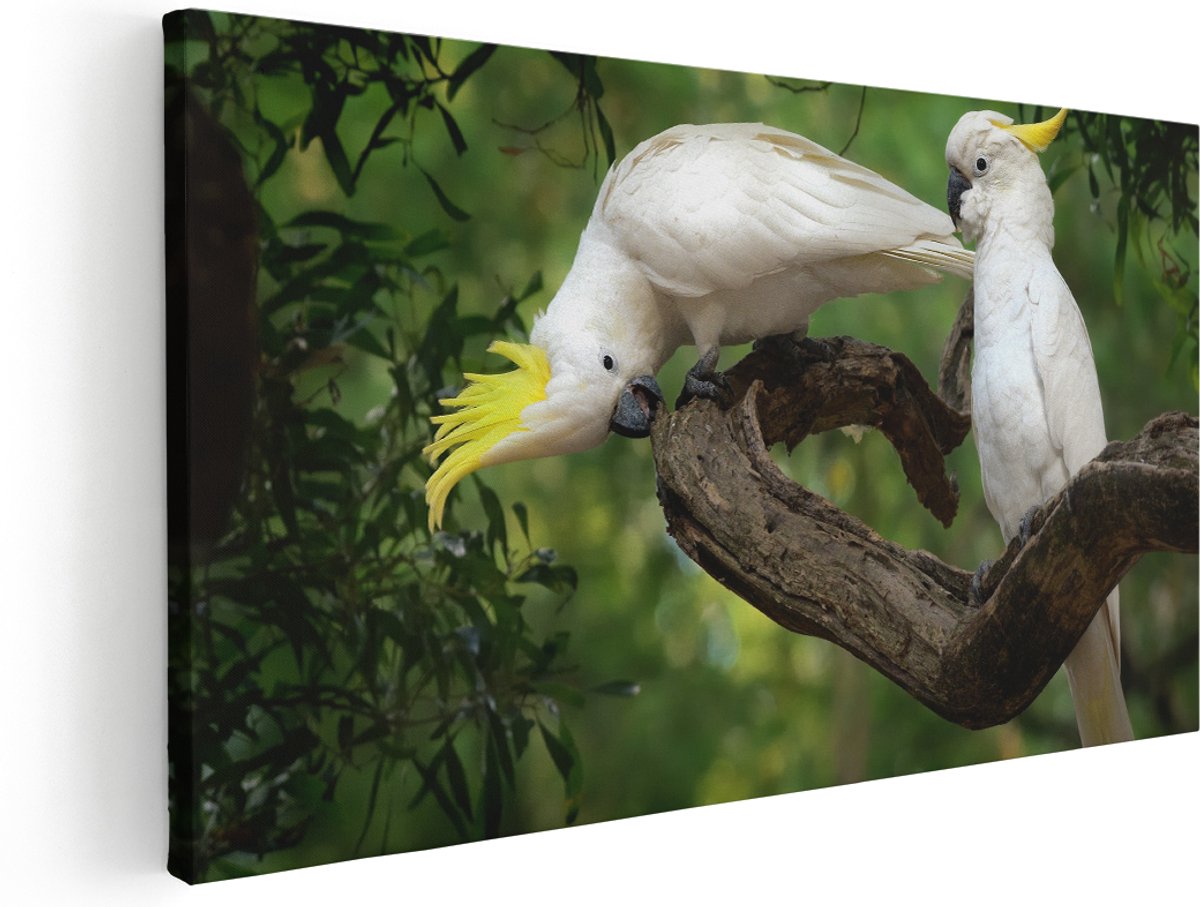 Artaza Canvas Schilderij Twee Witte Kaketoes in de Bomen - 180x90 cm - Groot - Wanddecoratie Woonkamer - Schilderijen - Muurdecoratie