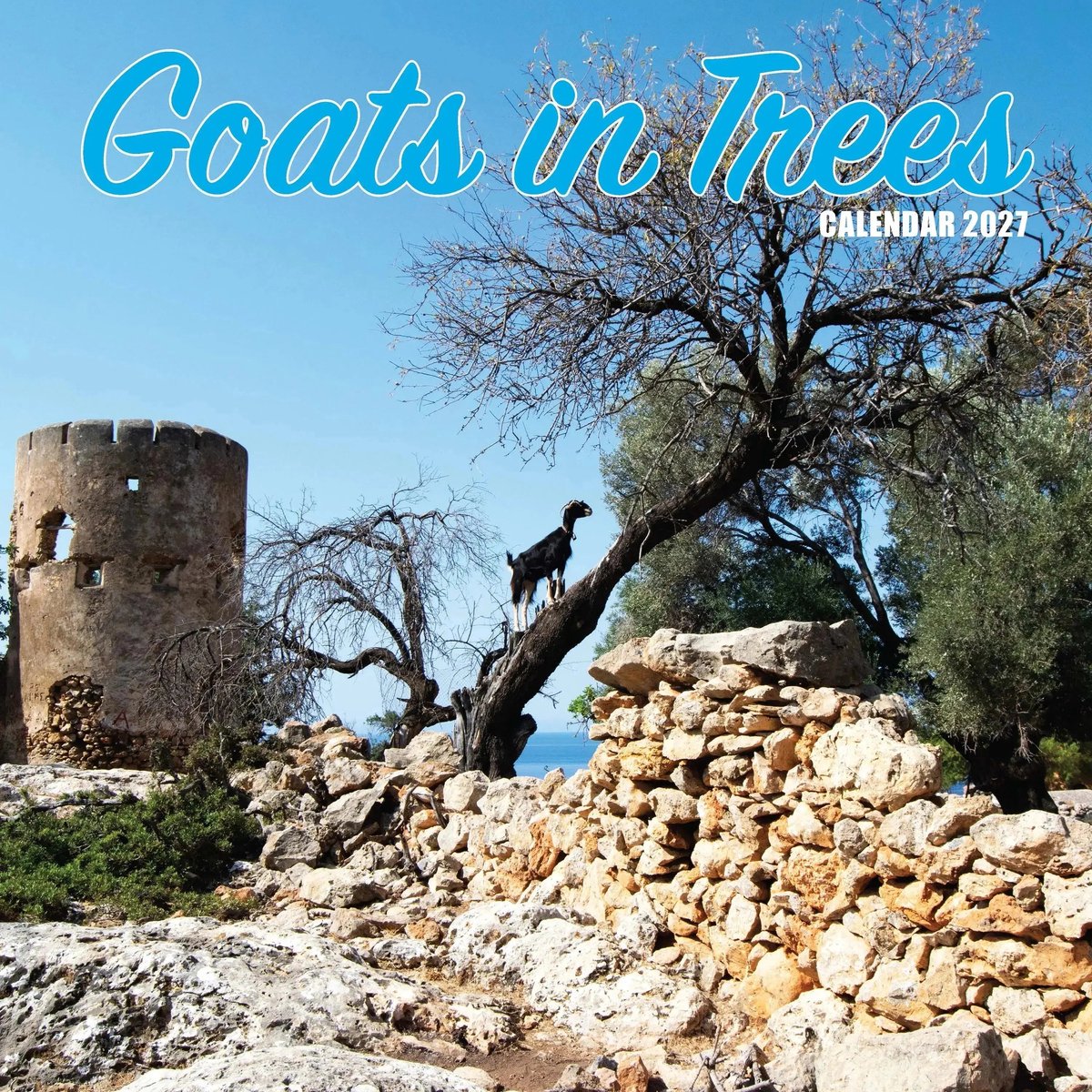 Goats in Trees Kalender 2027