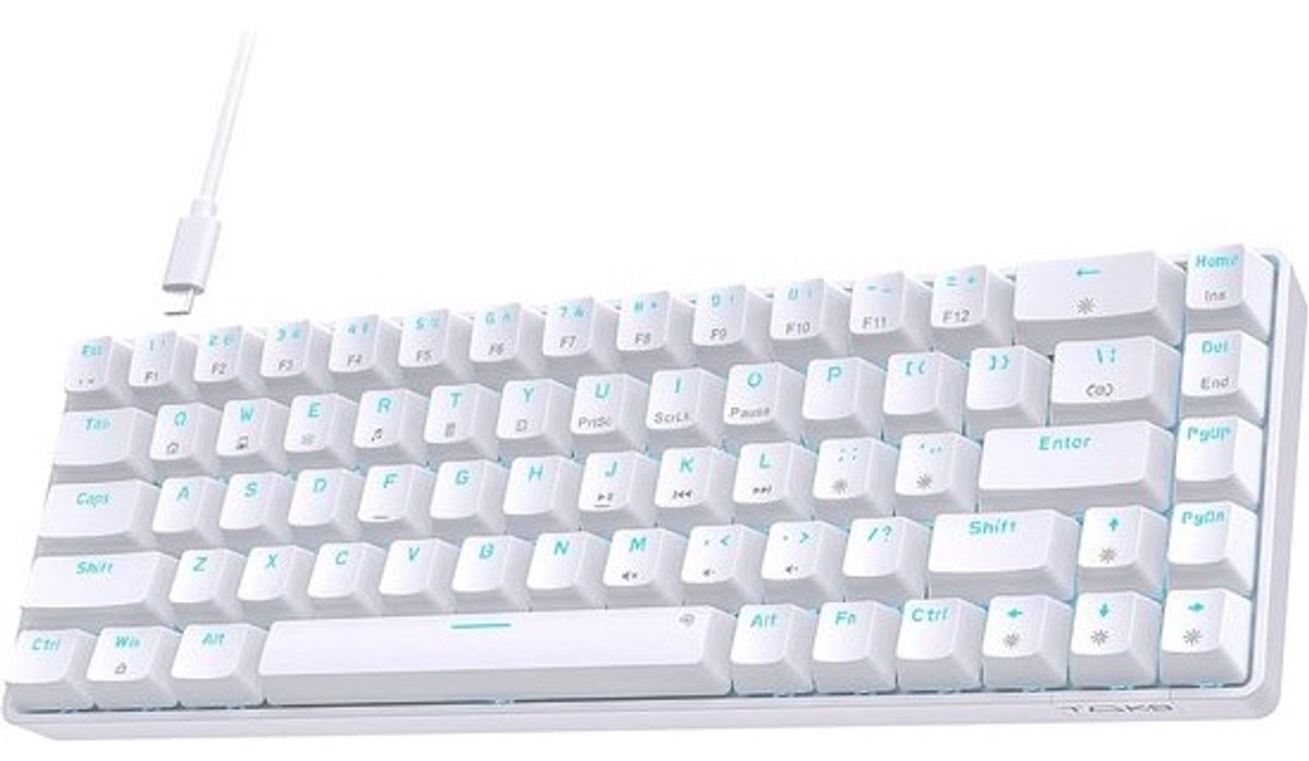 Mechanisch Gaming Toetsenbord 60% met USB-kabel - Anti Ghosting QWERTY Layout - Mini Bruine Schakelaars voor PC en Mac
