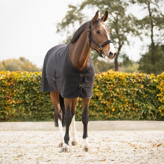 Qhp Showdeken Avenna Black - 205 - Uitrijdeken | Zwart | Zweet dekens paard Qhp Showdeken Avenna Black - 205 - Uitrijdeken | Zwart | Zweet dekens paard