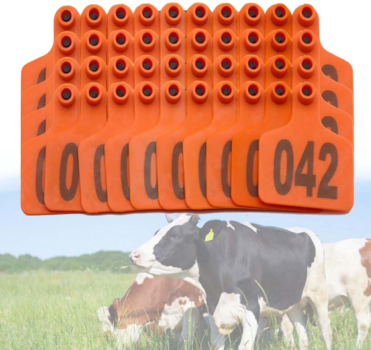 Veeoortags - Genummerde identificatie tags 100-delig oranje