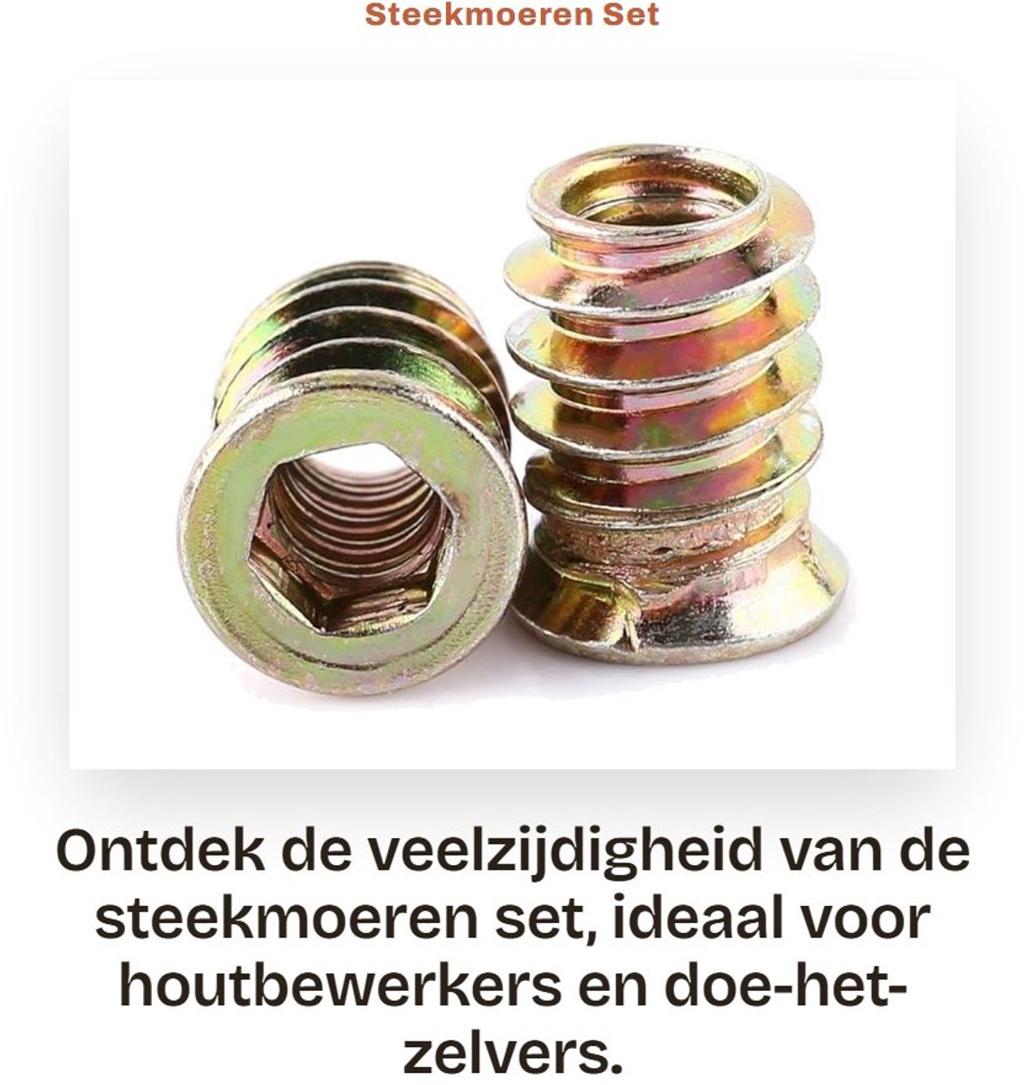 Dailygoods- Steekmoeren 20 Stuks - Zeskant Moeren - M6/M8/M10 - Zinklegering - Houten Inzetstukken - Buitendraad