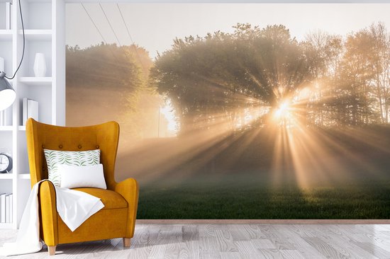 Behang - Fotobehang Zonnestralen door de ochtendmist in het Nationaal park Söderåsen - Breedte 450 cm x hoogte 300 cm