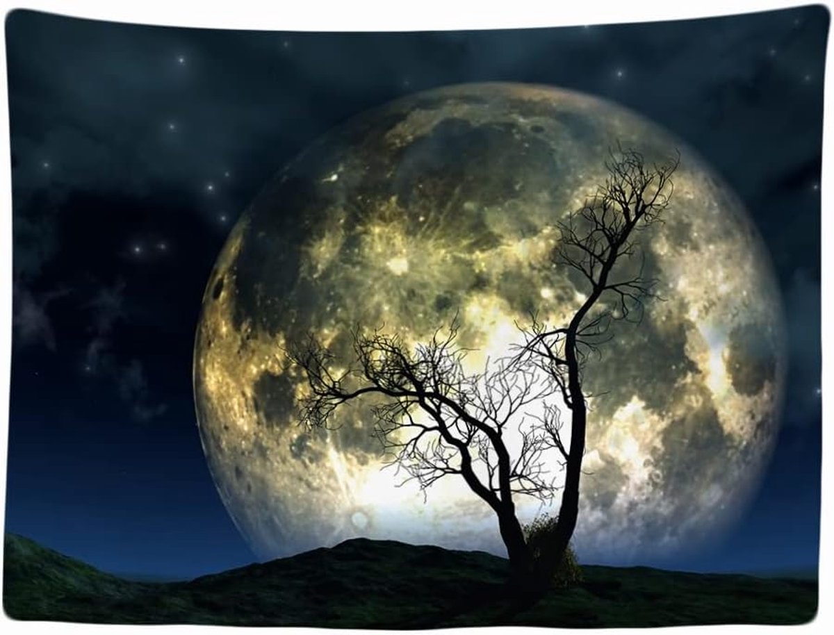 - Natuur Volle Maan Nacht Boom - Wandkleed - 200x150 cm - Groot Wandtapijt Kleed Doek - Poster