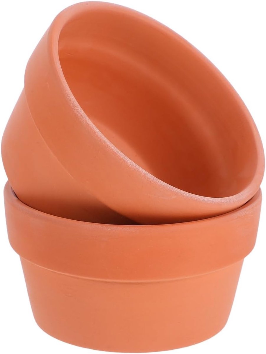 Terracotta plantenpotten met afvoergat - 2 stuks - 12,5 cm diameter - ideaal voor cactussen en kamerplanten, duurzaam en stijlvol