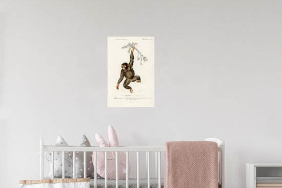 Stickers muraux - Singe - Vintage - Branche - 20x30 cm - Feuille adhésive