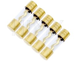 Glaszekeringen Set - Auto Zekeringen - Elektrische Beveiliging - AGU Type - 100 Ampere - Zilver
