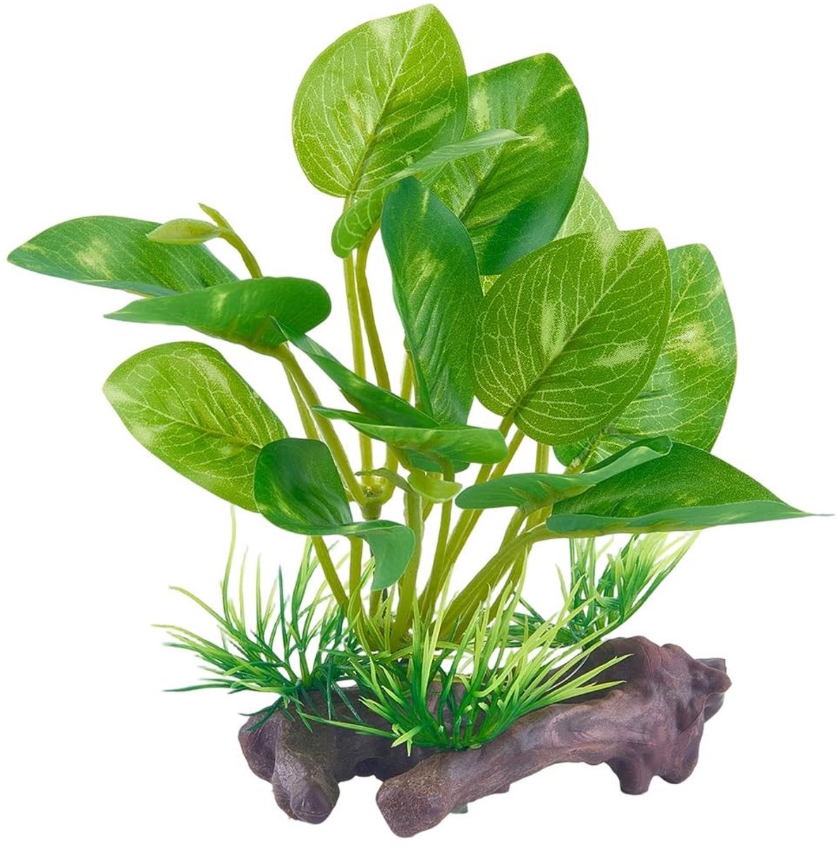Dailygoods - Kunstmatige Plastic Planten voor Aquarium en Terrarium Decoratie