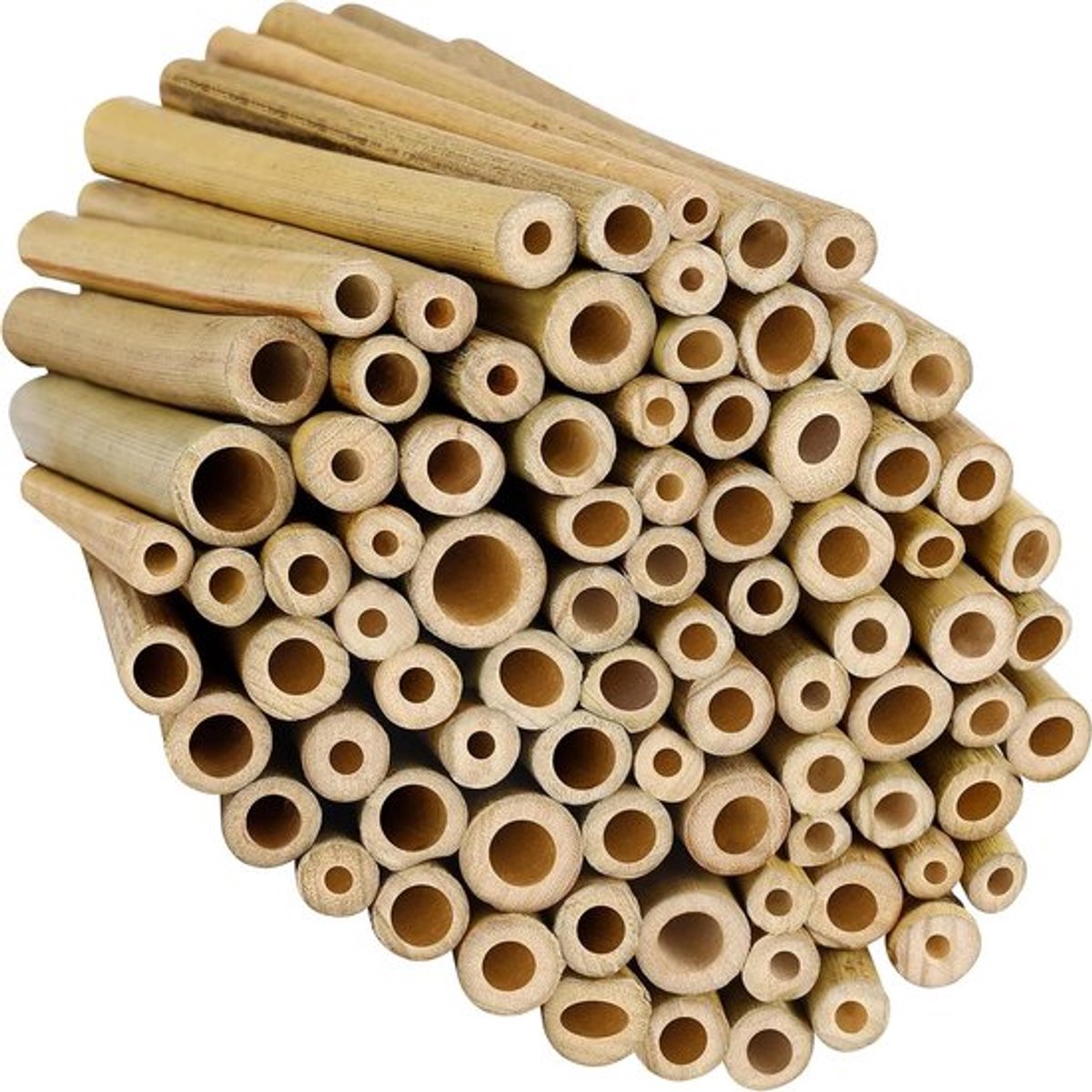 - Natuurlijke Bamboe Stengel (100 Pak) - Insectenhotel Vulling - L10 x B0,9 cm - Wilde Bijen Hotel - Sterk en Duurzaam - Tomaten Staak - Tuinplanten Support - Hobby.