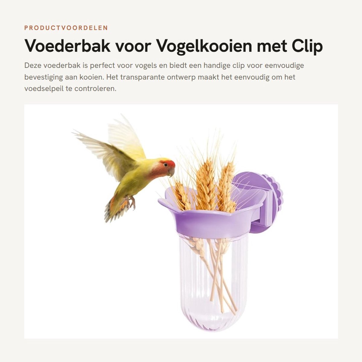 Dailygoods- Vogelkommen Transparant Ontwerp - Voederbak voor Parkieten - Voederbak voor Papegaaien - Eenvoudig te Installeren - Herbruikbaar - Geschikt voor Kleine Dieren