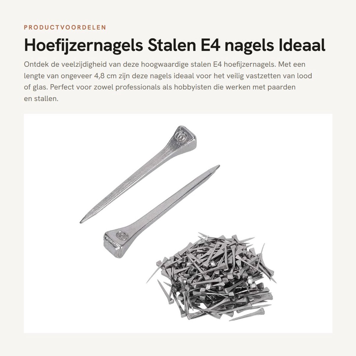 Dailygoods- Hoefijzernagels 250 stuks - Stalen Nagels - Gebrandschilderde Nagels - Vierkante Kop - Voor Paard - 4,8 cm Lengte - Paardennagels