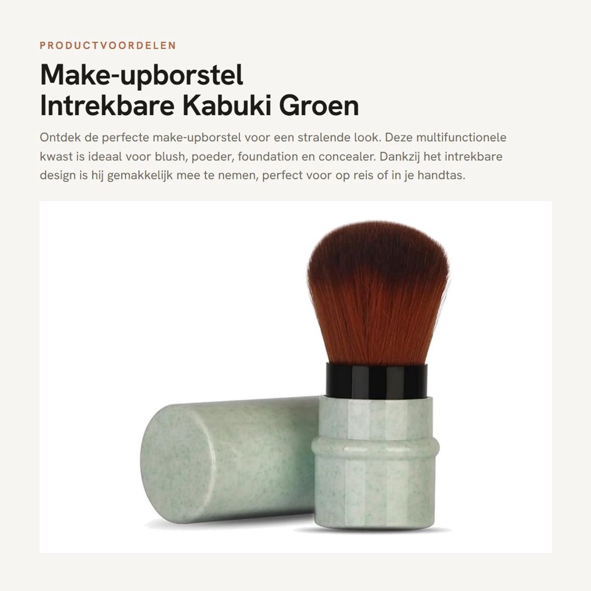 Dailygoods- Make-upborstel Intrekbare Kabuki - Make-upborstel Set - Professionele Poeder/Concealer Kwast - Duurzame Materialen - Synthetische Taklon Haren - Reisborstel - Make-upkwast