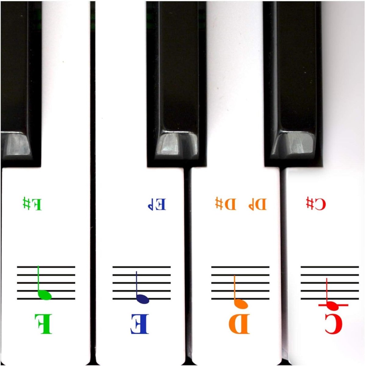 Pianostickers Toetsenbord - Muziekstickers - Muziek Leren - Transparant Afneembaar - 49 61 88 Toetsen - Helder