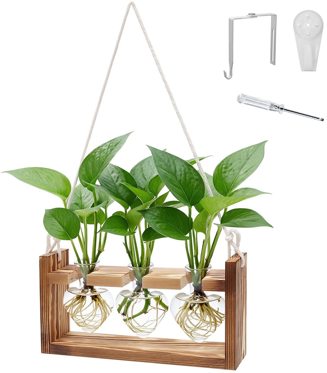 Vaas met houten frame voor tafeldecoratie, binnendecoratie, voor tafel en muur