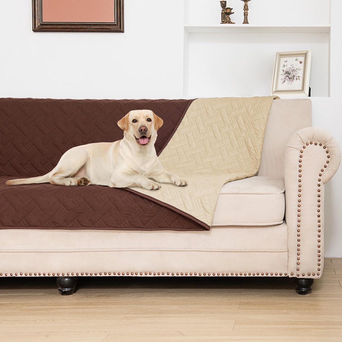Huisdier Dekens - Honden Kleed - Meubels Beschermen - Waterdichte Beschermlaag - 206x259 cm - Bruin Beige