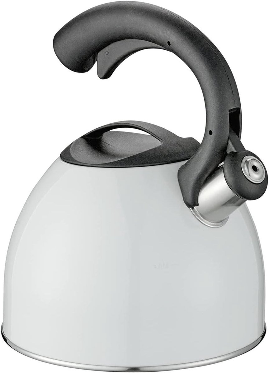 Waterketel - Fluitketel - Water Koken - Roestvrij Staal - 25 Liter - Zwart
