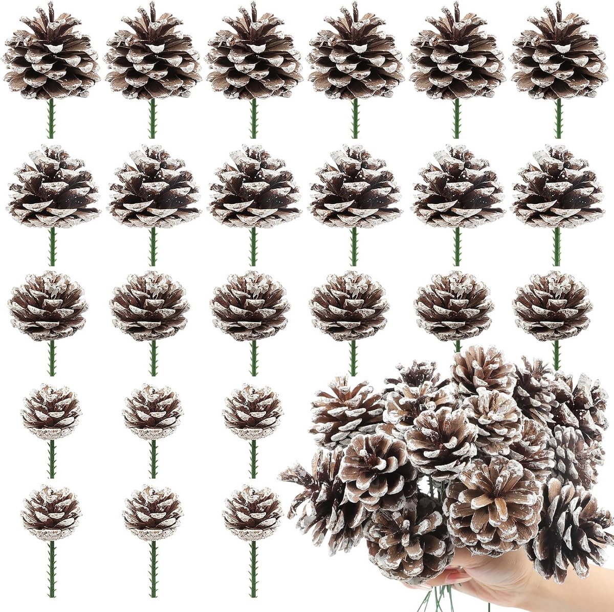 24 stuks dennen kegels met stengels, 4 maten natuurlijke sneeuw dennen kegels voor kerstboom ambachten geschenken Thanksgiving herfst Kerstmis huis decor