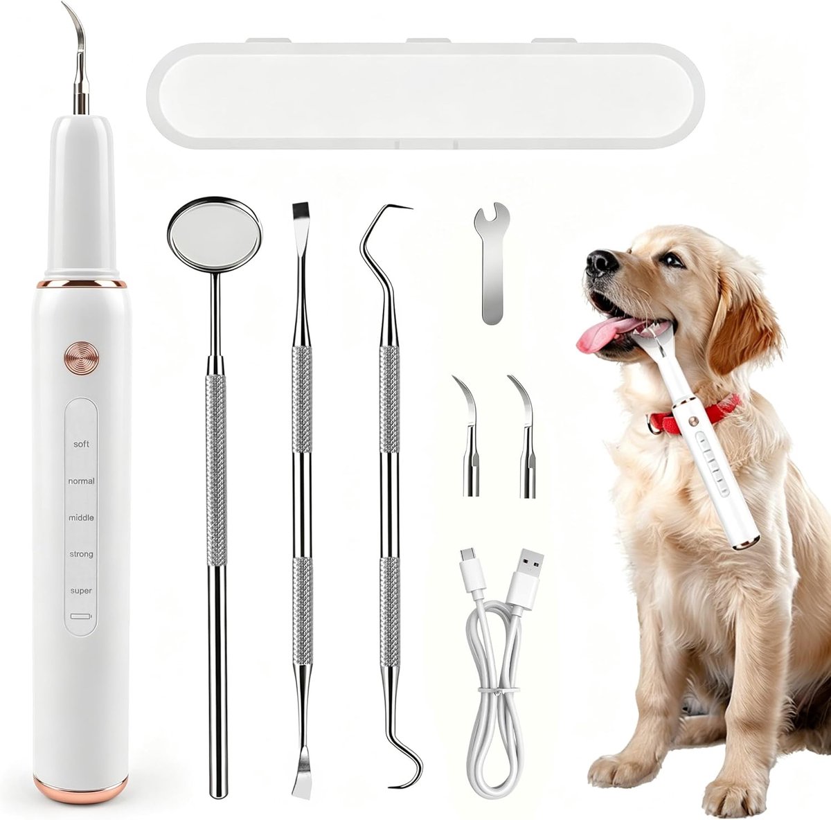 SnelShoppen - Tandenreiniger voor Honden en Katten, Dentaal Zorg Kit, 5 Reinigingsstanden, Tartar Verwijderaar, Oplaadbaar (Wit)
