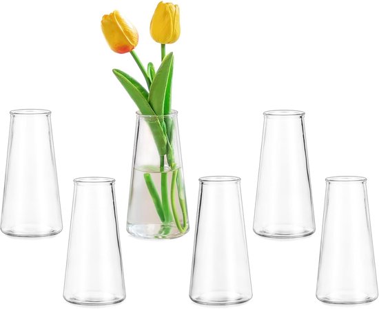 Thijox - Glazen Bloemenvaas Set van 6 Kleine Bud Vazen - Elegante Decoratie Voor Tafel, Bruiloft, Feest, Thuis, Woonkamer, Kerst en Verjaardag Geschen
