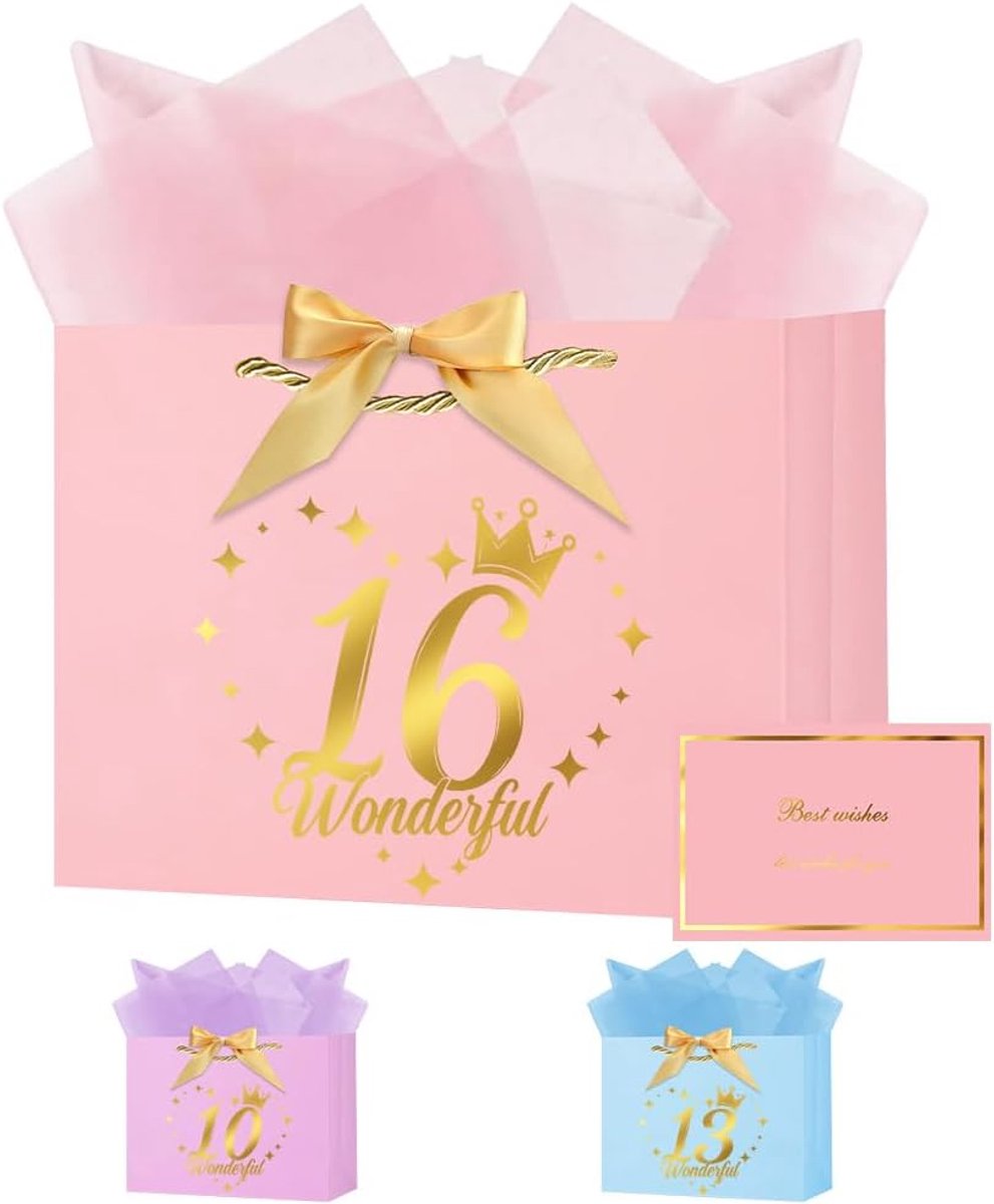 SnelShoppen - Gift Bag Kinderen Verjaardag 16 stuks met Handvatten, Roze Papieren Cadeautassen met 3 Tissue Papieren en Wenskaart voor Vrouwen en Meis