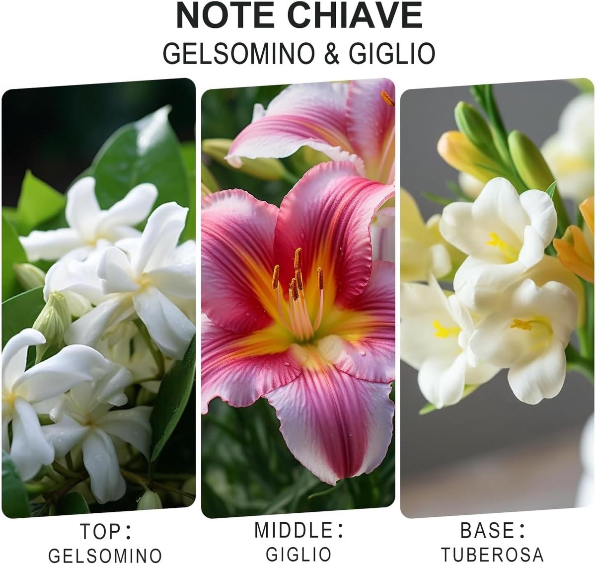 SnelShoppen - L'odeur Vill Geurstokken Diffuser 120ml - Luxe Aromatische Geur met 12 Sticks, Langdurige Geur voor Woonkamer, Slaapkamer, Badkamer, Kan