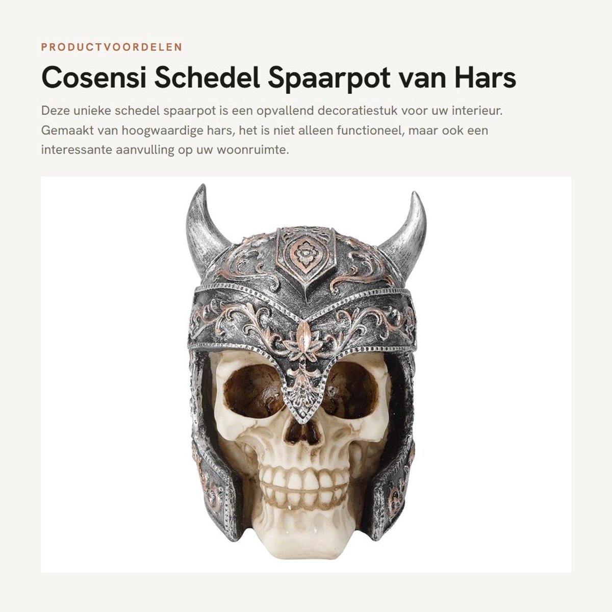Dailygoods- Spaarpot Schedel - Hars Spaarpot - Decoratie Spaarpot - Woonkamer Decoratie - Halloween Decoratie - Afmetingen 14,2 x 12,3 x 19 cm - Geldpot