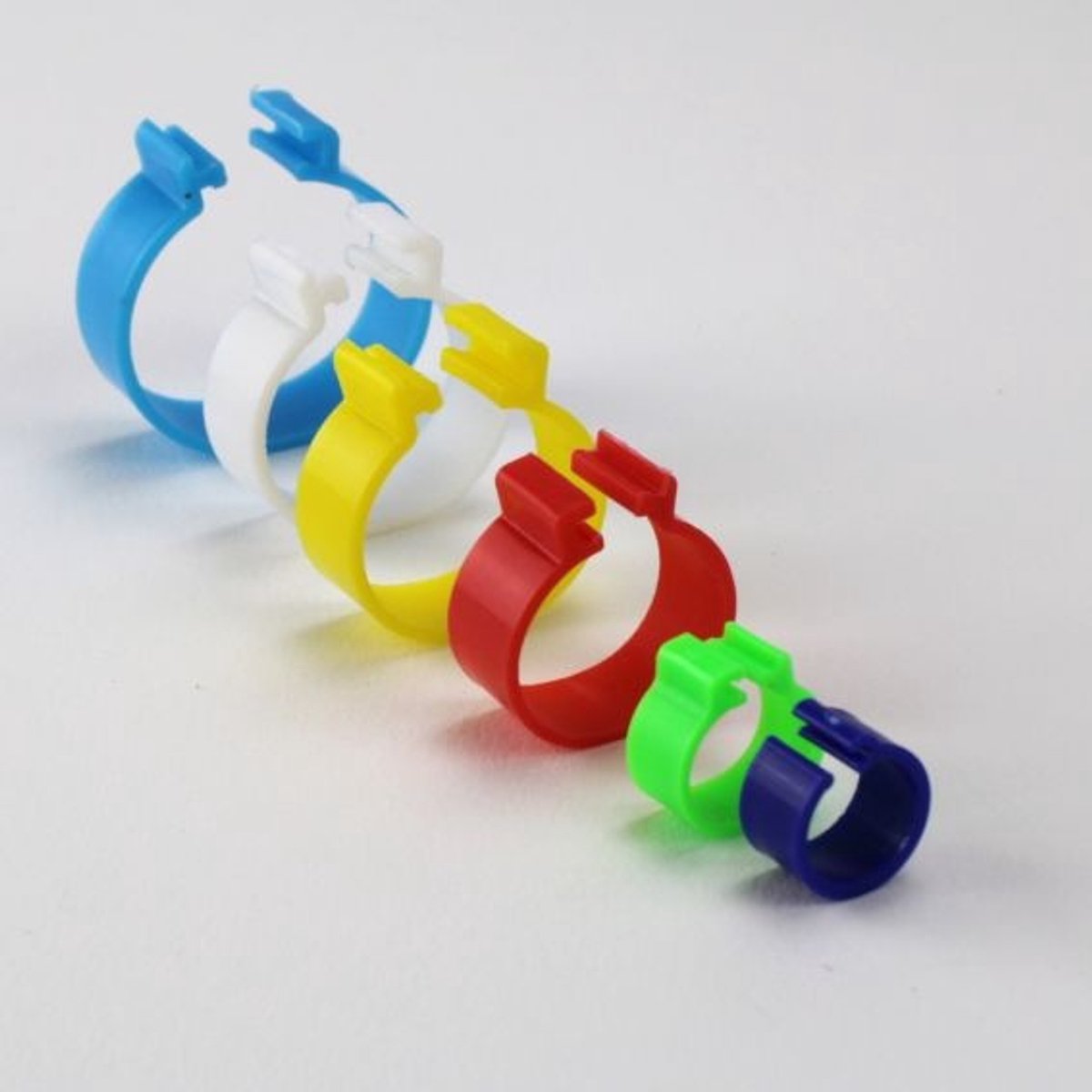 MS Click-ringen voor pluimvee 16MM - 100 stuks Rood